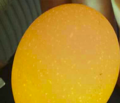 蛋殼質量與微量元素的關系