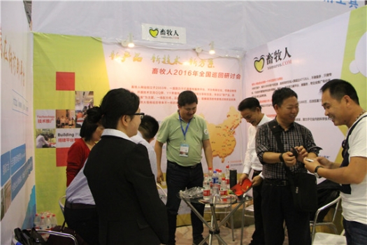 IMG_3599_副本 - 副本.jpg