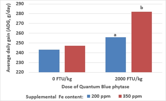 超量使用植酸酶改善小豬鐵狀態
