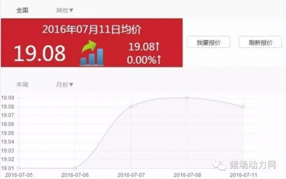 屠企和養戶又開戰了，誰能贏得這次豬價博弈？