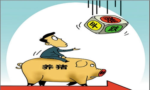 10元豬價不見，未來到底漲還是跌？