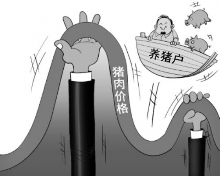 豬價已經接近谷底 還會繼續下跌嗎？