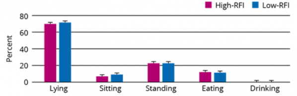 飼料效率高的豬，抗應激能力也較強（原創）