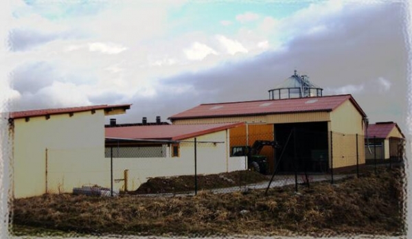 規(guī)避風(fēng)險：一個德國豬農(nóng)是如何應(yīng)對豬價波動的（原創(chuàng)）