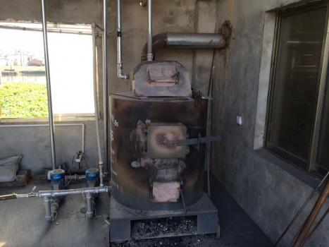 老牛牛---2016年豬場年終總結