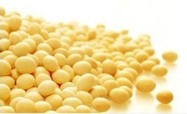 生物柴油炒作利好美豆 國內豆粕價格階段性反彈