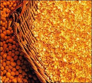 豆粕期貨即將上市，飼料及養殖企業做好準備了嗎？