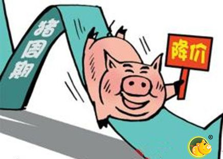 本輪豬周期或將接近尾聲 機構預計全年豬價下行