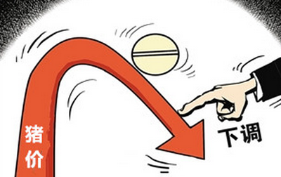 豬價觸底反彈？行情仍待觀察