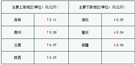 企業觀望心態濃 豬價持續反彈或受阻