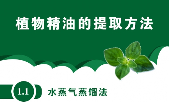 植物精油的提取方法_01.jpg