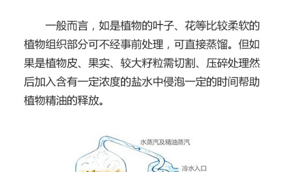 植物精油的提取方法_03.jpg