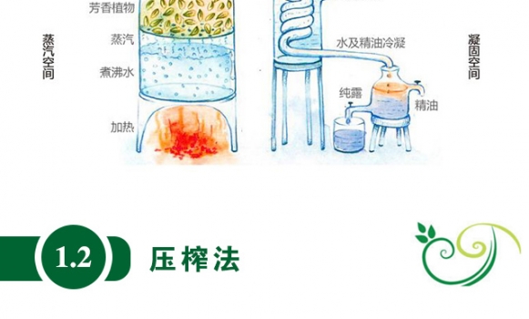 植物精油的提取方法_04.jpg