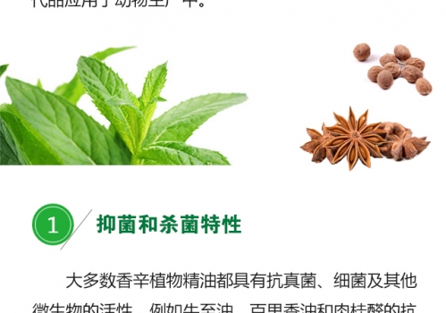 植物精油的生物學功能0719_02.jpg