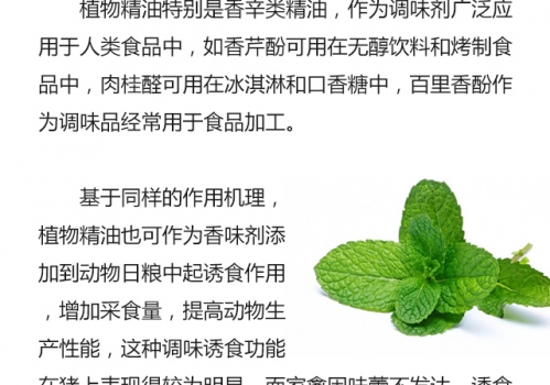 植物精油的生物學功能0719_09.jpg
