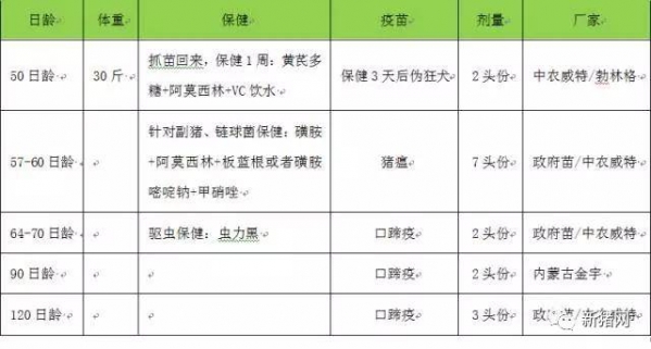 生長育肥豬的日常管理細節