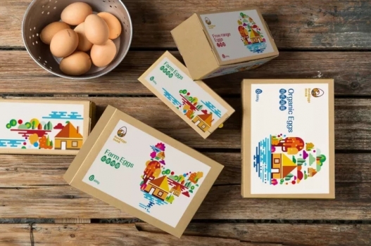 我國雞蛋市場近3千億元，95%都沒品牌