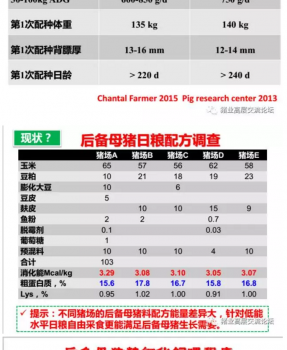 丹系VS美系母豬營(yíng)養(yǎng)及飼喂差異_17.png