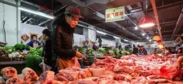 央廣網：11月底豬價將再迎來一波上漲，養戶可伺機而動！