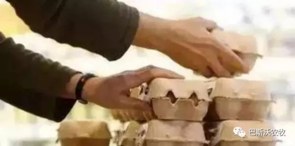 從一枚雞蛋看德國，就知道為什么德國是制造業、化工業的霸主了！