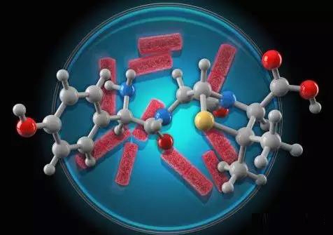 腸道菌群的組成、調節及其對宿主健康的影響