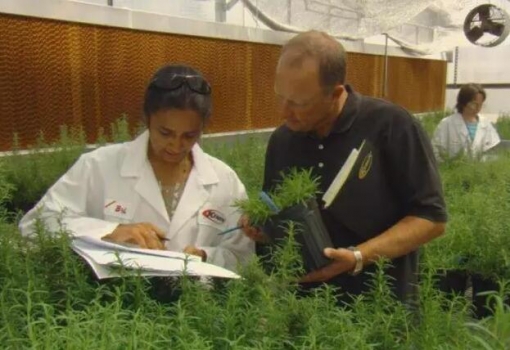 免疫調節劑在替代促生長抗生素中的作用