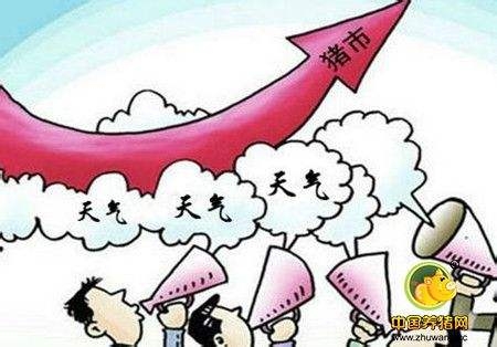 今日豬價分析：受短期雨雪天氣影響，豬價大范圍上漲！