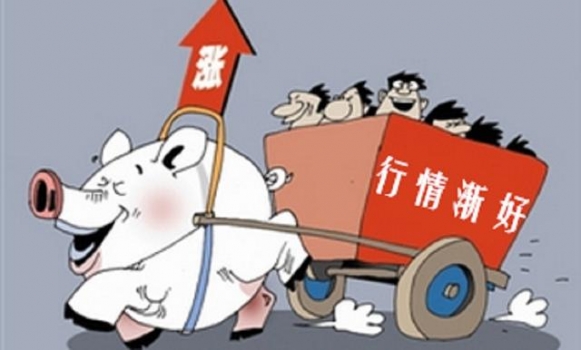 2018年生豬價格會持續走高嗎?