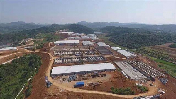 溫氏擬獎勵員工股票超1億股，中糧去年利潤歷史新高