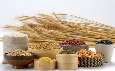 豬的膳食纖維營養(yǎng)與應(yīng)用概述