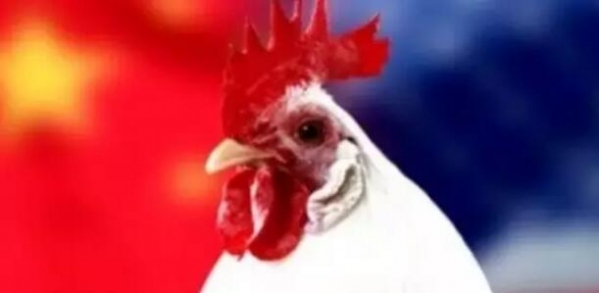 商務部：中國終止對美國進口白羽肉雞產品征收雙反稅