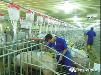 必修課 | 均衡生產(chǎn)與全進(jìn)全出技術(shù)的應(yīng)用