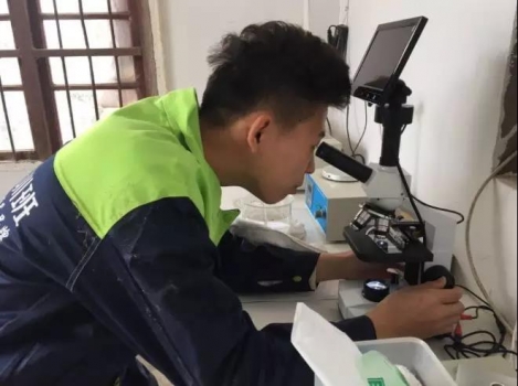 精液稀釋標準流程，你是這樣做的嗎？