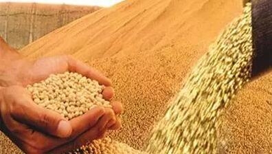 31家飼料、添加劑、養殖企業2018年第一季度業績匯總