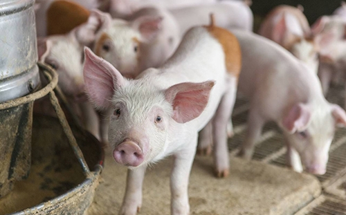 四周批生產要求及轉換技巧