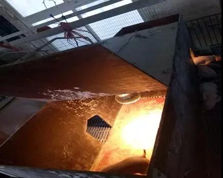 產房仔豬不好養？