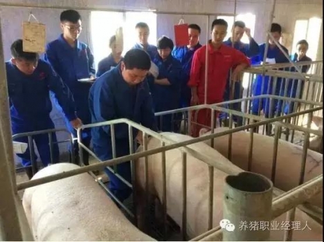 深部輸精的標準化操作