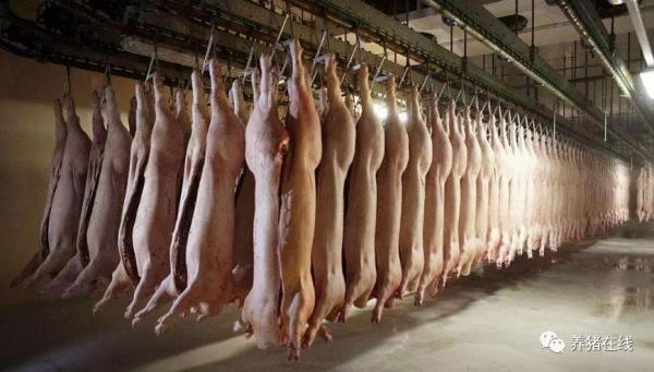 屠企壓價意愿增強，養戶須高度警惕？