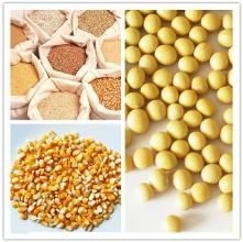 影響飼料原料能量含量的營(yíng)養(yǎng)物質(zhì)包括小分子碳水化合物，但是原料物理性狀無(wú)法用來(lái)...