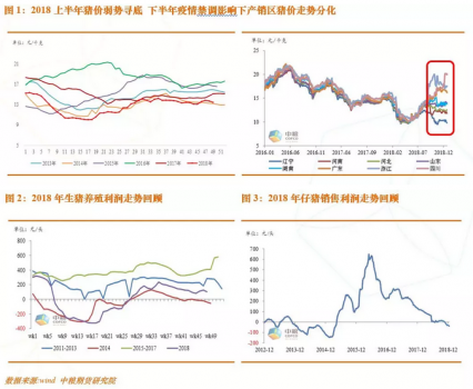 2019年豬價上漲已成定局 漲幅視疫情及調運政策