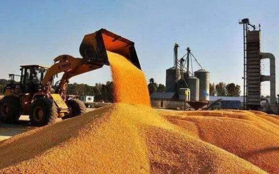 2018年農產品市場運行總體平穩，非洲豬瘟影響有限作者：佚名來源：農民日報