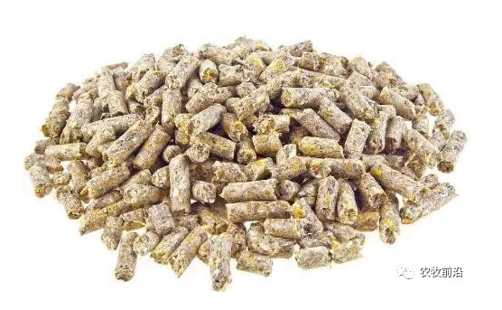 一封飼料安全的公開信 | 非瘟面前，所有的利益都要讓路