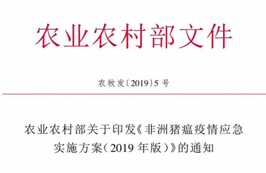最新政策！非洲豬瘟疫情應急實施方案（2019年版）