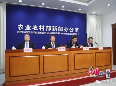 農(nóng)業(yè)農(nóng)村部：非洲豬瘟疫情累計捕殺生豬達(dá)到102萬頭！已安排6.3億元補(bǔ)助經(jīng)費