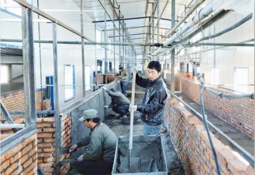 4月末豬企大擴張：超400萬頭生豬及1500萬頭屠宰項目簽訂