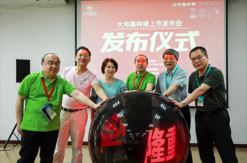 “非”誠勿擾，只培育用戶想要的“大偉嘉種豬”正式上市