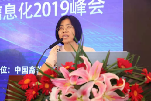 2019年上半年母豬料和仔豬料減少近25%，禽料增加超10%