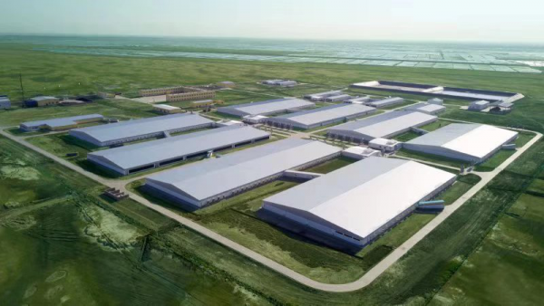 “非瘟”可防可控：大北農打贏全面復養第一戰