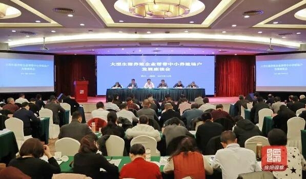 農業農村部：提倡養豬發展“大幫小”！