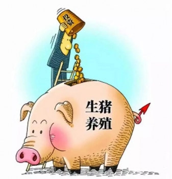 財政部：支持豬業發展，中央資金已下達完畢！